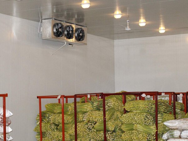 果蔬保鮮庫(kù)